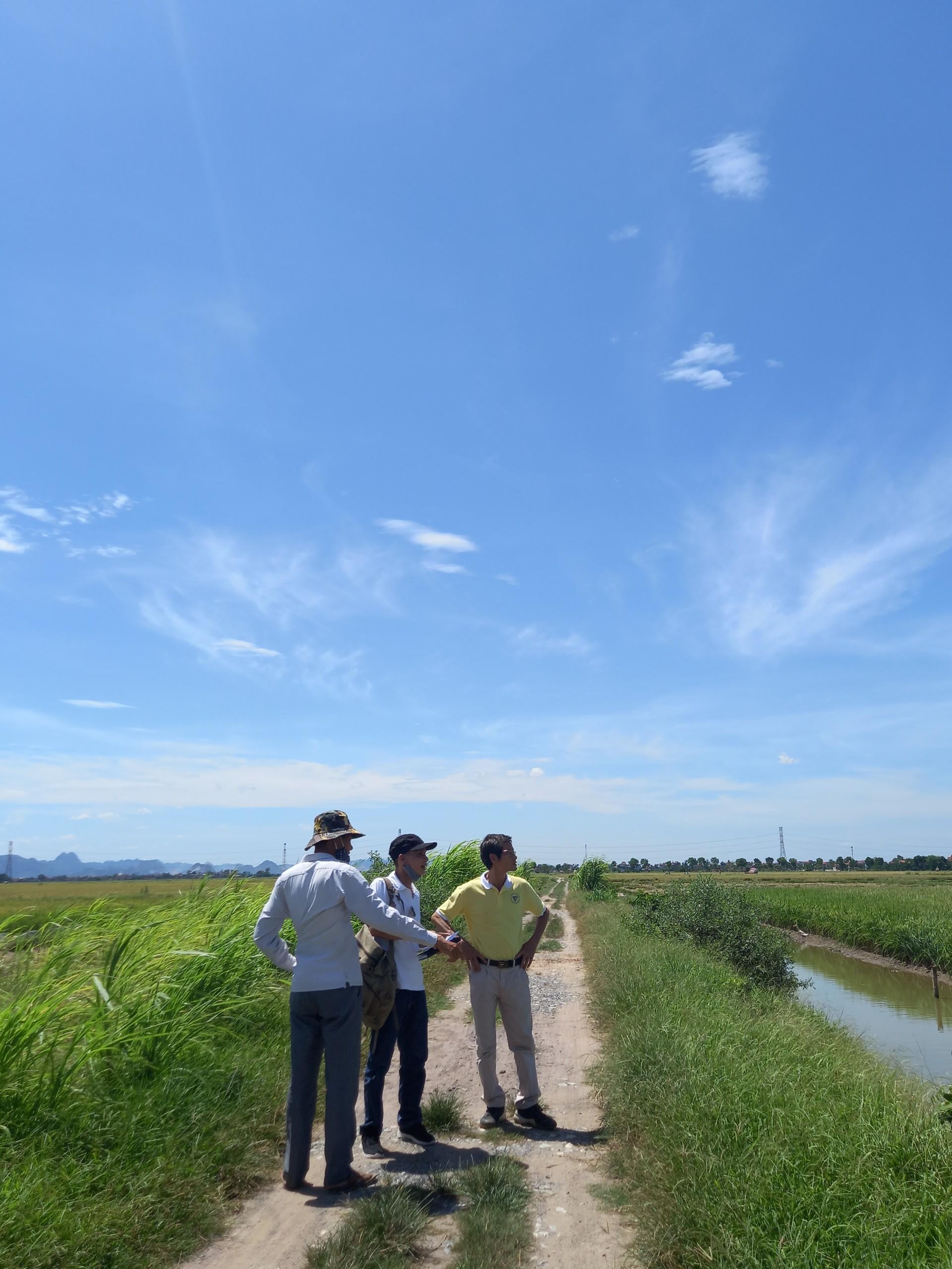 Lãnh đạo công ty đi khảo sát mặt bằng, triển khai dự án trồng Tràm kết hợp nuôi cá tại Nam Định